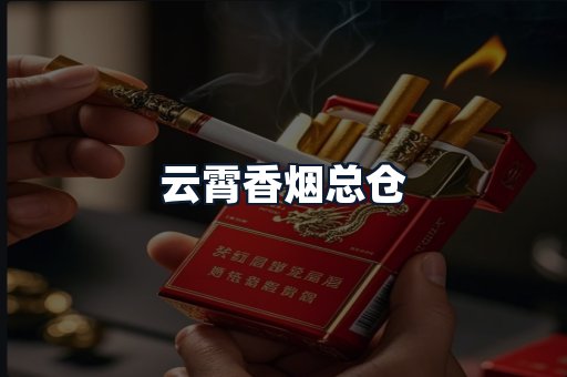 云霄香烟总仓